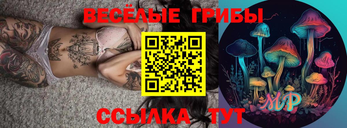 Псилоцибиновые грибы Psilocybe Ухта