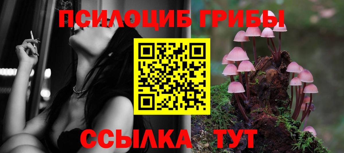 Галлюциногенные грибы прущие грибы  Вход с VPN  Ухта 